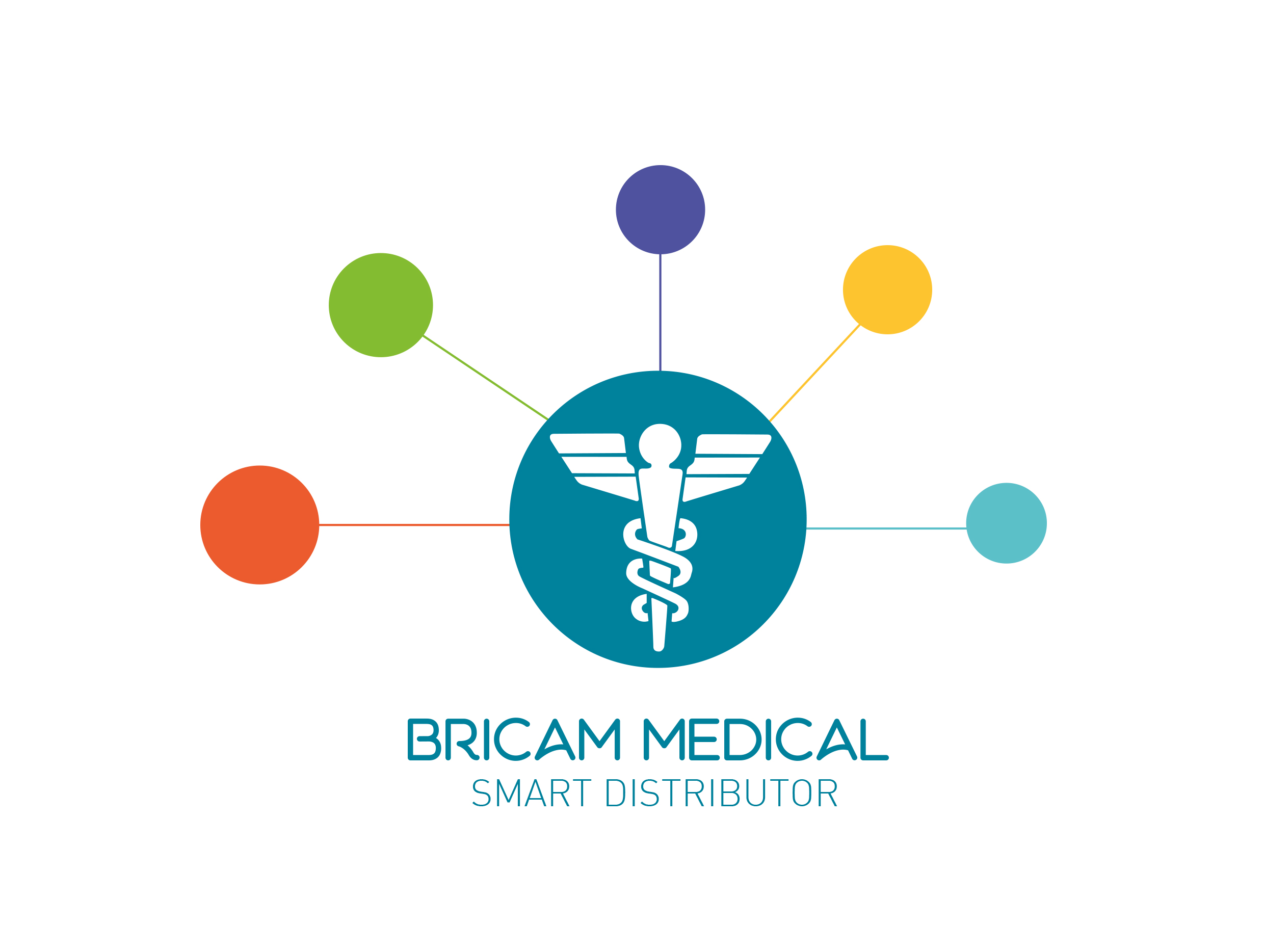 logo bricam medical