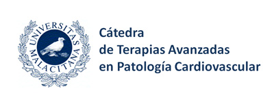 terap-ava-pat-cardiovas